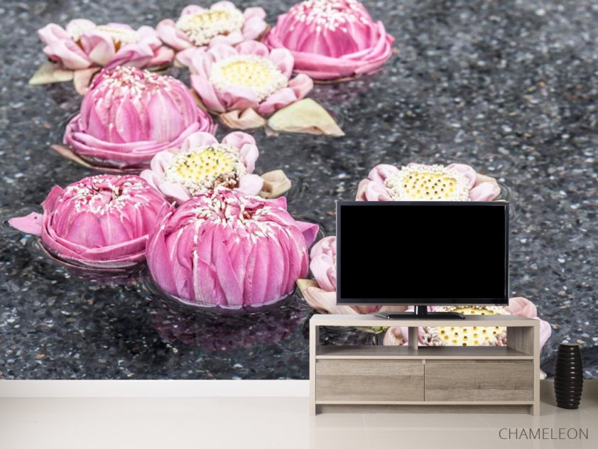 Фотообои Пионы на воде - 2