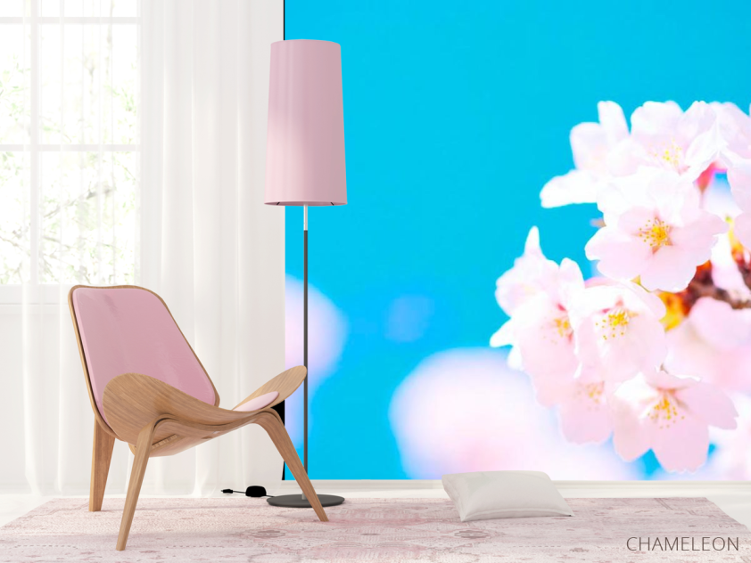 Фотошпалери Білі квіти в небі - 4