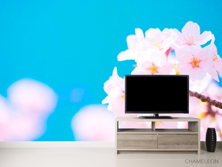 Фотообои Белые цветы в небе - 2