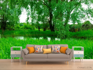 Фотообои Высокая трава - 1