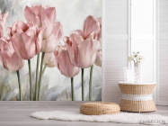 Фотошпалери тюльпани - 2