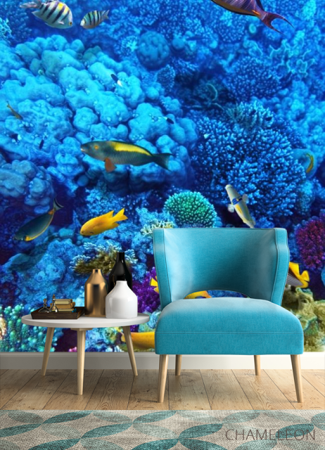 Фотообои Голубой подводный мир - 4
