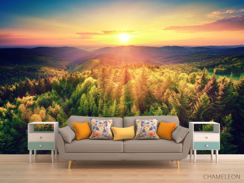 Фотообои закат над сосновым лесом - 1