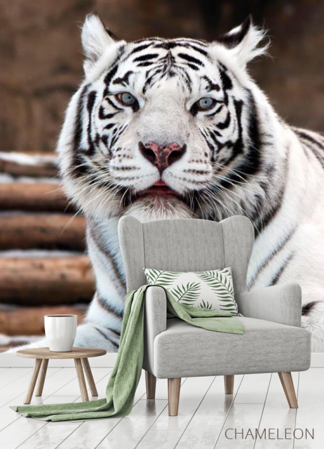 Фотообои Белый тигр - 3