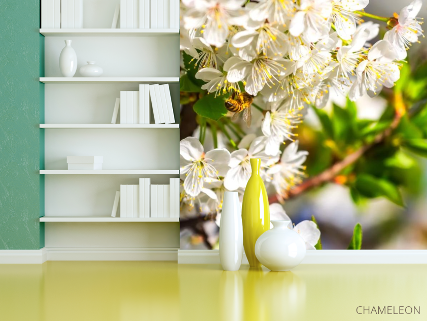 Фотошпалери бджола на квіточках - 3