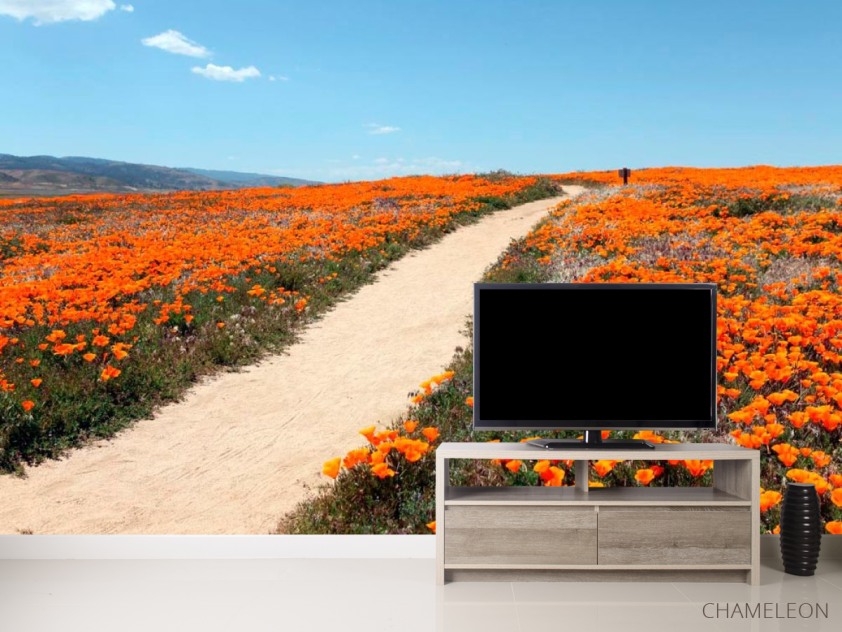 Фотообои Тропинка, мак - 2