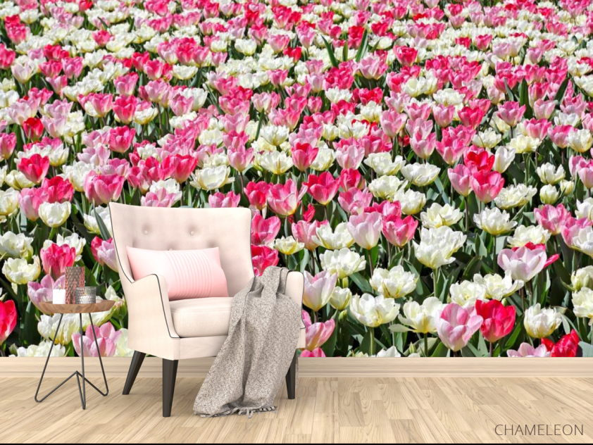 Фотообои Поле разноцветных тюльпанов - 4