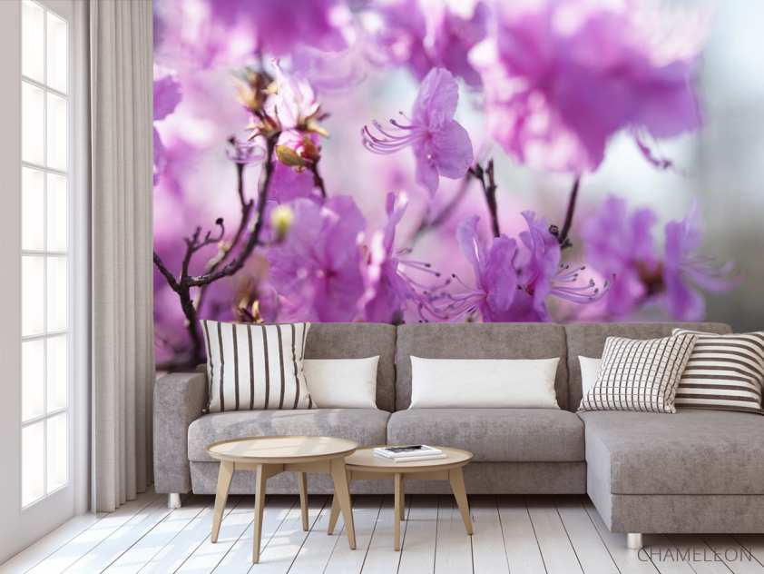 Фотообои сиреневые цветочки на дереве - 3