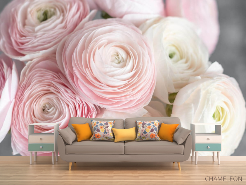 Фотообои Розовые рунункюлусы - 1