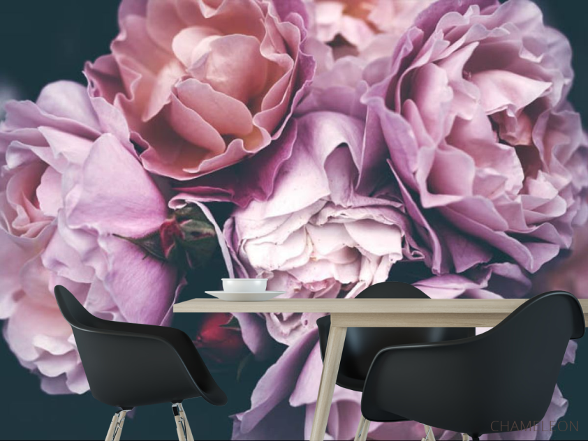 Фотошпалери Рожеві троянди - 1