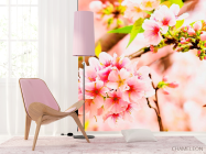 Фотошпалери Суцвіття рожевих квітів - 4