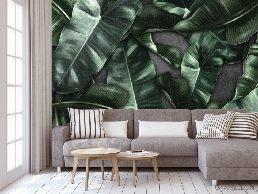 Фотообои Зеленые листья - 3