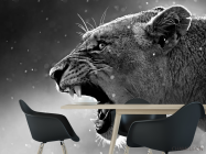 Фотошпалери дика кішка - 1