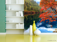 Фотошпалери Відображення, ліс, вода - 3