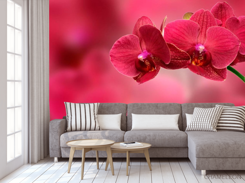 Фотообои Красные орхидеи - 3