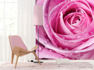 Фотошпалери Роса на розі - 4