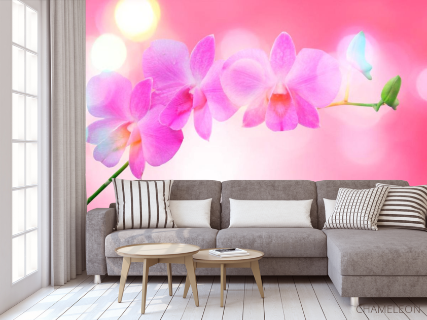 Фотообои Бледно-розовые цветы - 3