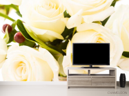 Фотообои 4 розы белых - 2