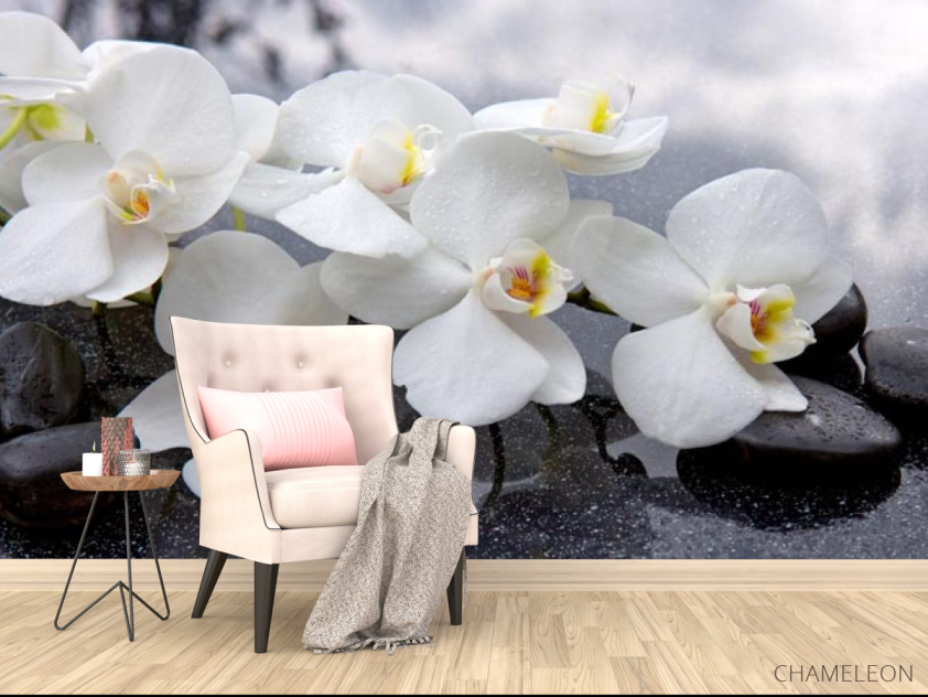 Фотообои белые орхидеи на черных камнях - 4