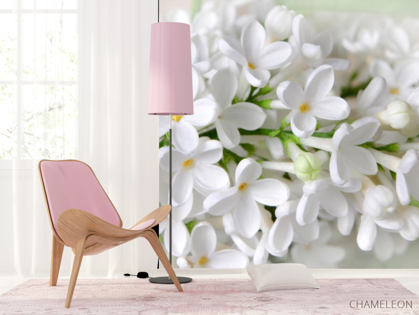 Фотошпалери біла бузок - 4