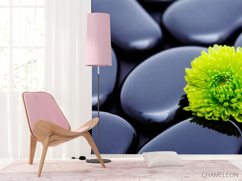 Фотошпалери Квітка і камені - 4