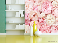 Фотошпалери Пудрові бутони півоній - 3