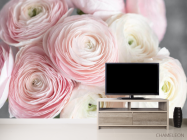 Фотообои Розовые рунункюлусы - 2