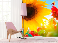 Фотошпалери Соняшник і гербера - 4