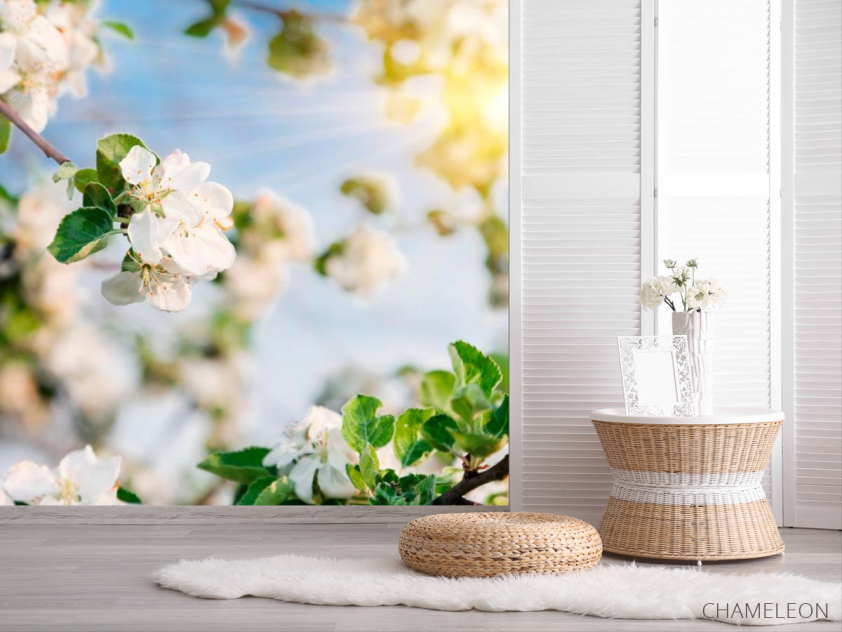 Фотошпалери Квіти під сонцем - 2