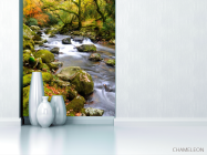 Фотообои Камни, мох - 1