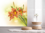Фотообои красно-желтые лилии - 2