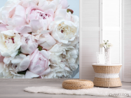 Фотошпалери великий півонія з півоній - 2