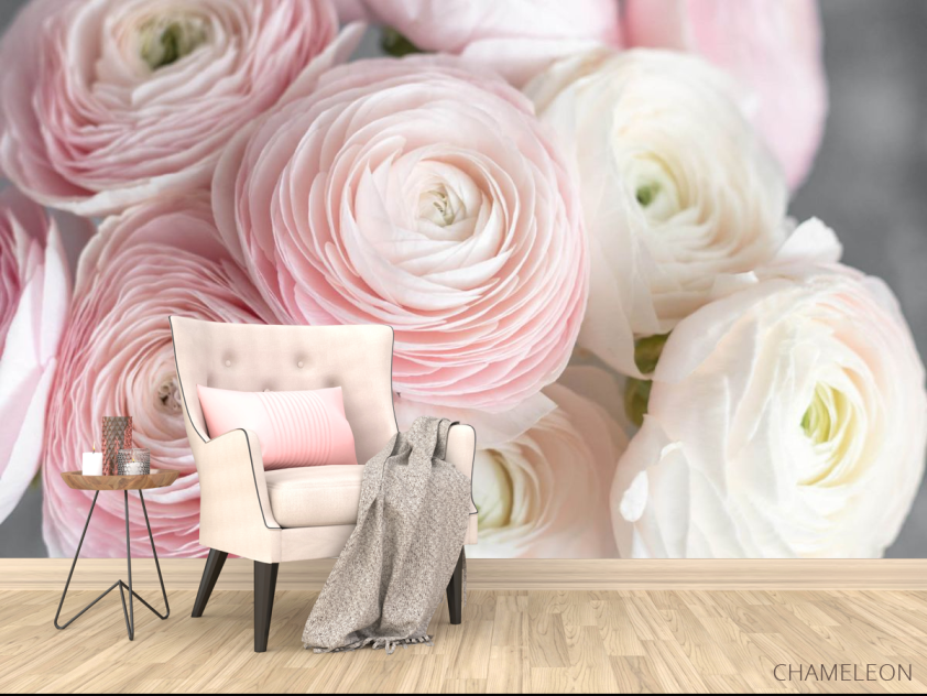 Фотообои Розовые рунункюлусы - 4