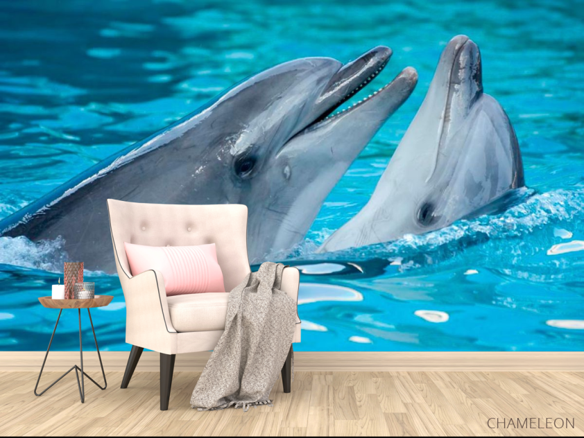 Фотообои Нежность дельфинов - 4