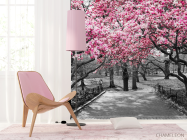 Фотошпалери Рожеві дерева в парку - 4
