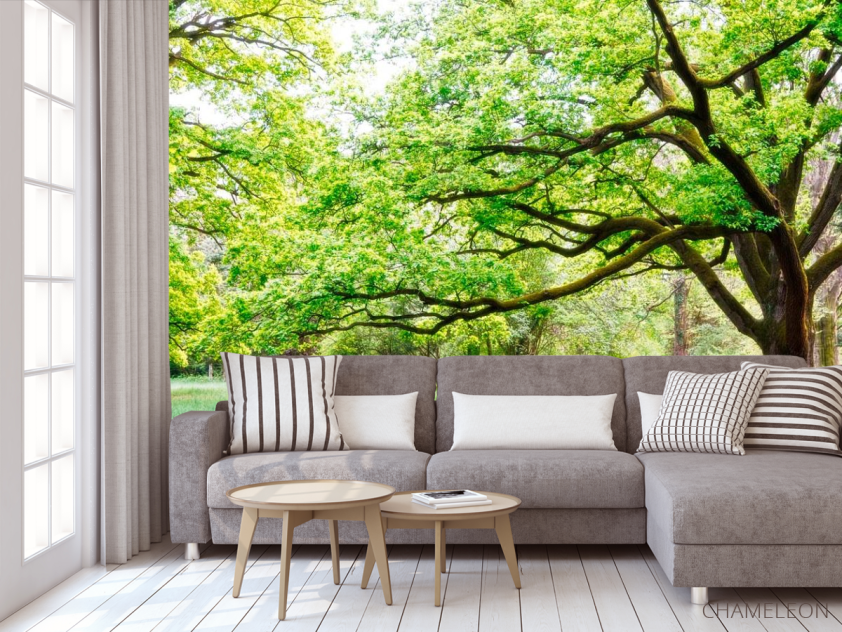 Фотообои Много веток, дерево - 3