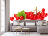 Фотообои калина - 3