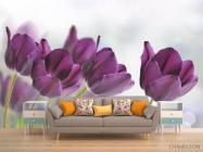 Фотообои тюльпаны - 1