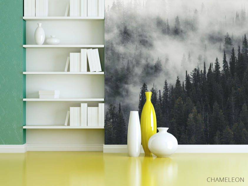 Фотошпалери Туманний ліс - 3