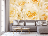 Фотообои Розы оттенка кремового - 3