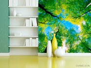 Фотошпалери Верхівки дерев - 3