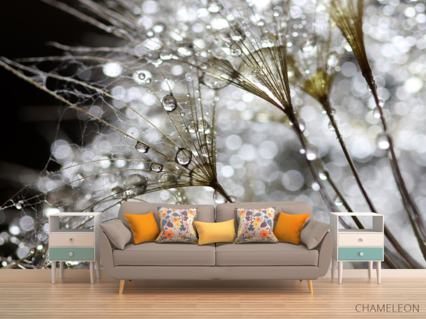 Фотообои белый одуванчик с росой - 1