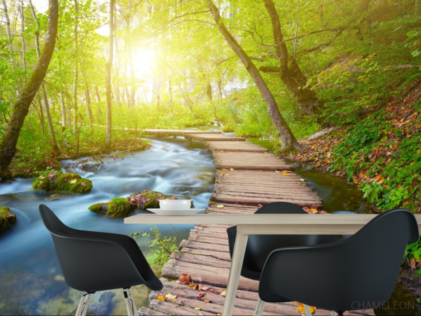 Фотошпалери дерев'яна доріжка в лісі - 1