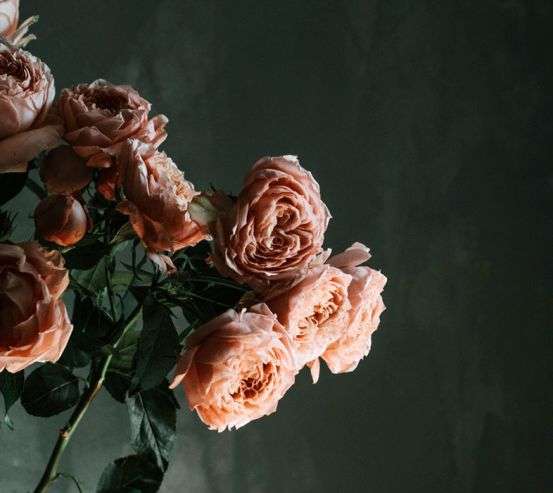 Фотошпалери Фреска веранда на озері 23931