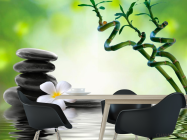 Фотошпалери Гілочки, камені, квітка - 1