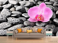 Фотообои Орхидея, роса, камни - 1