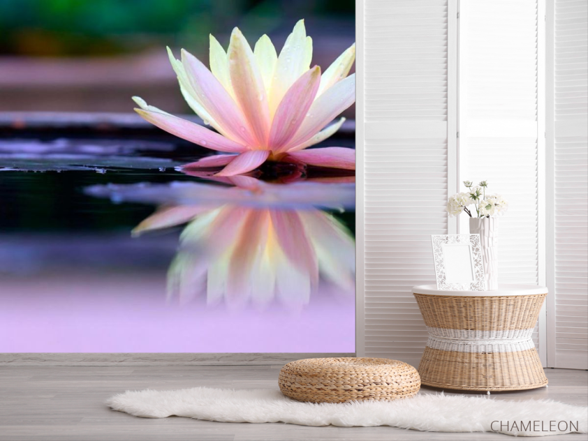 Фотошпалери Квітка - 2