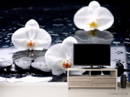 Фотообои Орхидеи на черных камнях - 2