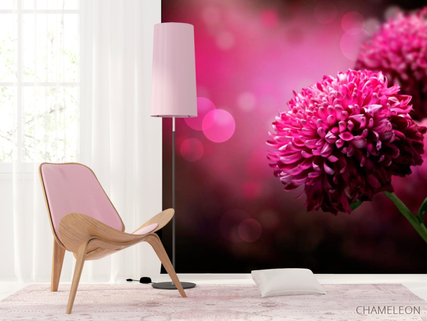 Фотообои Малиновые хризантемы - 4