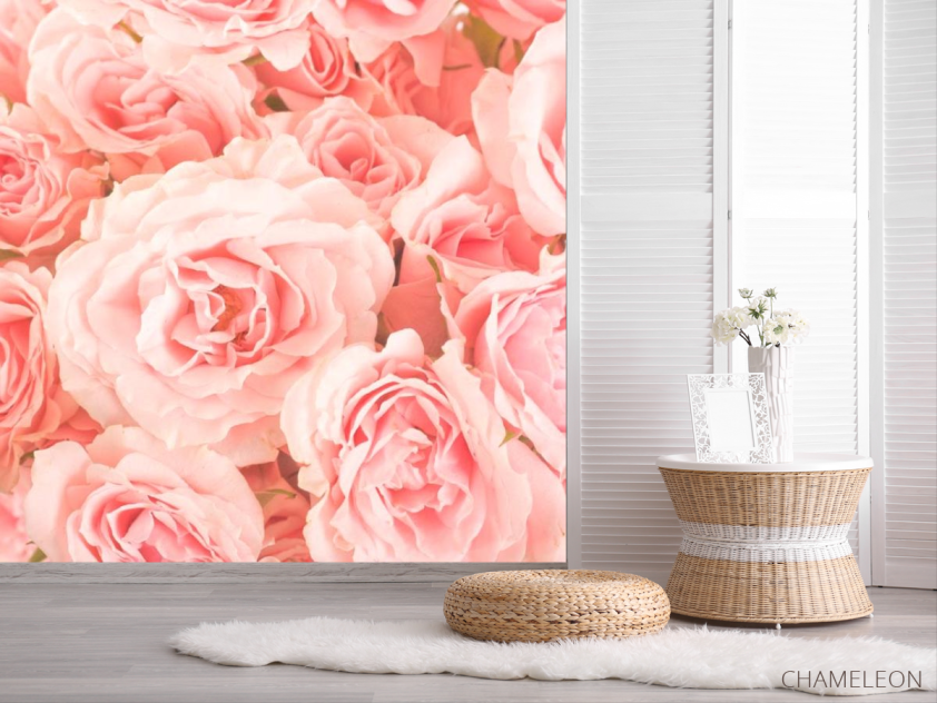 Фотошпалери Троянди ніжно-рожеві - 2